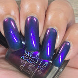 It’s Mer-Mazing- from the “Under the Sea” Collection