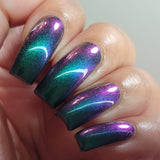 Sagittarius  (The Archer) from the “Zodiac 2023” Collection 5-free 15ml