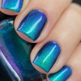 Calypso’s Birthday from the “Our Flag Means Death Pt 2” Collection 5-free 15ml