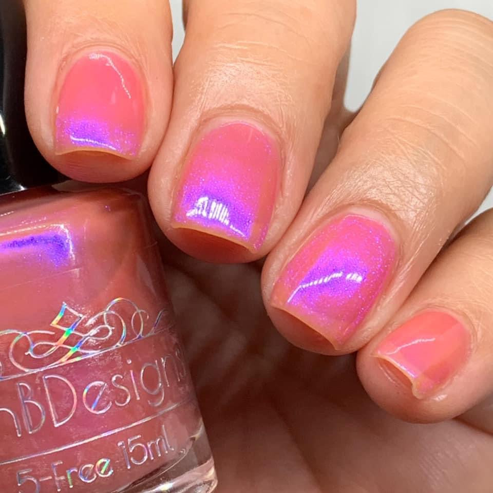 Wholly Free and Amongst the Stars from the “Stardust