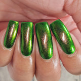 Fang’s Real Name is Kevin from the “Our Flag Means Death Pt 2” Collection 5-free 15ml