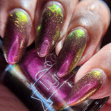 I Did a Punch! from the “Our Flag Means Death Pt 2” Collection 5-free 15ml