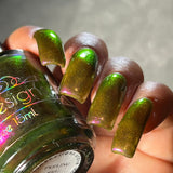 Feeling Eel-Ectric from the “Under the Sea” Collection