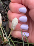 Grape Job from the “Sun Bleached Neons" Nail Polish Collection 15ml 5-Free