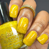 Scintilla Revamp 15ml 5-free