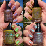 The “Fungus Among Us” Collection 5-free 15ml