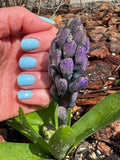 So Berry Special from the “Sun Bleached Neons" Nail Polish Collection 15ml 5-Free