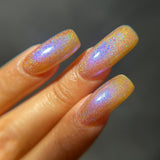 Pretty Fly for a Fungi from the “Fungus Among Us” Collection 5-free 15ml