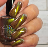 Fruit and Cheese Mold from the “It’s Giving Salad?” Collection