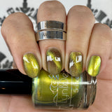 Go with the Flowey from the “Video Game Plants” Collection 5-free 15ml