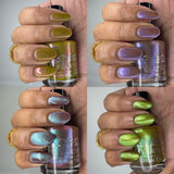 The “Fungus Among Us” Collection 5-free 15ml