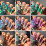 The “Our Flag Means Death Pt 3” Collection 5-free 15ml
