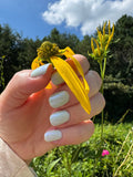 Matcha Latte from the “Silly Little Drinks” Collection 5-free 15ml