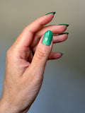 Let’s Keep in Touch from the “Class Reunion” Collection 15ml 5-free