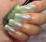 Celery Nut Circle from the “It’s Giving Salad?” Collection