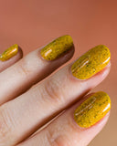 Scintilla Revamp 15ml 5-free