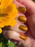 It’s a Pyrite’s Life For Me from the “You Rock” Collection 5-free 15ml