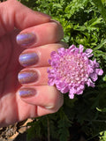 Pretty Fly for a Fungi from the “Fungus Among Us” Collection 5-free 15ml