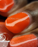 You Haven’t Aged a Day from the “Class Reunion” Collection 15ml 5-free