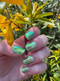 Dusty Bean- Pawsitively Polished Custom
