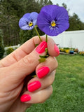 Wanna Be a Melon-Aire from the “Tonally Awesome" Nail Polish Collection 15ml 5-Free