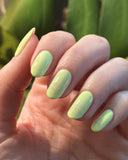 You’re the Zest from the “Sun Bleached Neons" Nail Polish Collection 15ml 5-Free