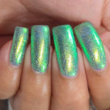 Auroral Green-May Creme Connection Custom