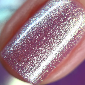 Capricorn (The Goat) from the “Zodiac 2023” Collection 5-free 15ml