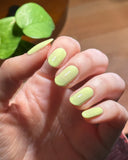 You’re the Zest from the “Sun Bleached Neons" Nail Polish Collection 15ml 5-Free