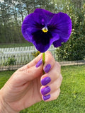 Plum-Gorgeous from the “Tonally Awesome" Nail Polish Collection 15ml 5-Free