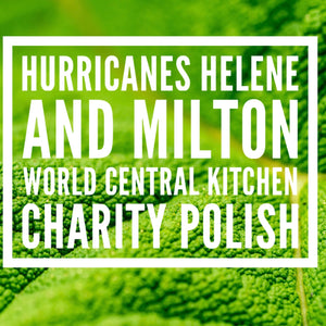 Hurricanes Helene and Milton World Central Kitchen Charity Mystery Polish