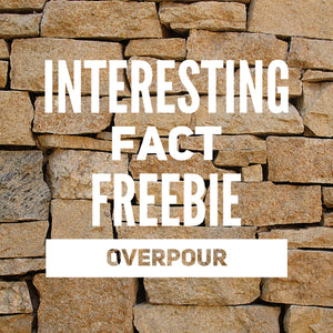 Interesting Fact Freebie Overpour